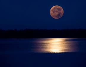 Pełnia Księżyca - wrzesień 2022. Księżyc Żniwiarzy już wkrótce! Na czym polega to astronomiczne zjawisko?