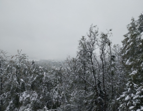 W Zakopanem spad nieg! Zimowa stolica Polski pokryta biaym puchem GALERIA