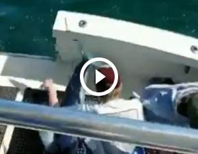Płynęli łodzią, nagrywali rekina. Nagle wyskoczył na pokład! WIDEO