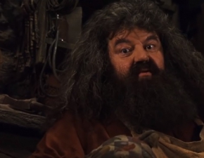 Filmowy Hagrid walczy o zdrowie: Robbie Coltrane porusza si na wzku
