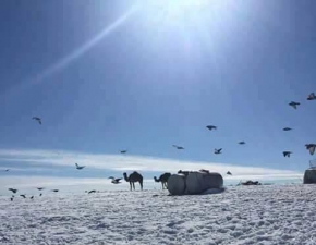 Na Saharze znowu spad nieg! 