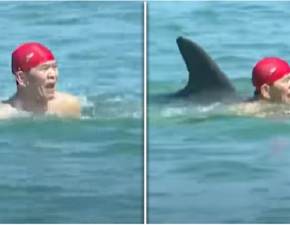 Nietypowe ataki w oceanie. To nie rekiny płoszą turystów. Plażowicze boją się pływać WIDEO
