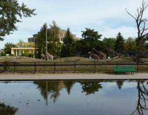 Mija 25 lat od Powodzi Tysiąclecia. Pracownicy wrocławskiego zoo wspominają katastrofę