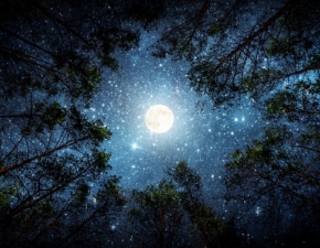 Księżyc Długich Nocy już w grudniu. Kiedy będziemy mogli obserwować to zjawisko? Pełnia Księżyca - grudzień 2020