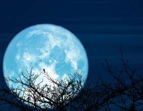 Pełnia Księżyca - marzec 2023. Kiedy obserwować to zjawisko?