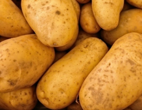 Kryzys rolników: co będzie z polskimi ziemniakami?