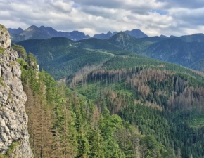 Kobieta spada ze szczytu w Tatrach. Jej krzyki usyszeli turyci: To miaa by zwyka wycieczka na Nosal ZDJCIA