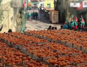 Bitwa na pomarańcze podczas karnawału we Włoszech. 180 osób rannych