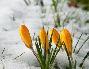 Prognoza pogody na 15 lutego: Idzie wiosna! 