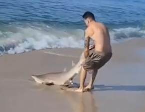 Nie zna strachu. Złapał rekina gołymi rękami i wyciągnął z wody WIDEO 