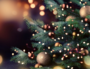 Żywa lub sztuczna choinka. Jakie drzewko świąteczne wybrać?