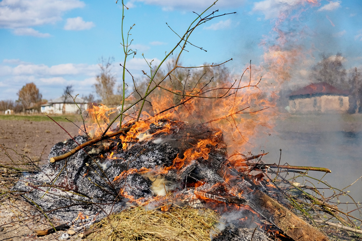 Wiosenne porządki mogą cię słono kosztować. Jeden błąd na działce i zapłacisz choćby 5000 zł kary