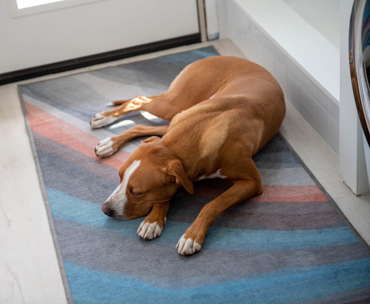 Twój pies najchętniej śpi w tym miejscu? Sprawdź, co to oznacza!