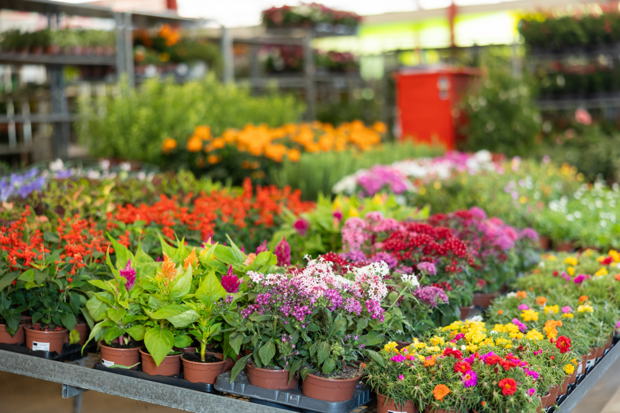 W domu ma je niemal każdy. niedługo będą zakazane