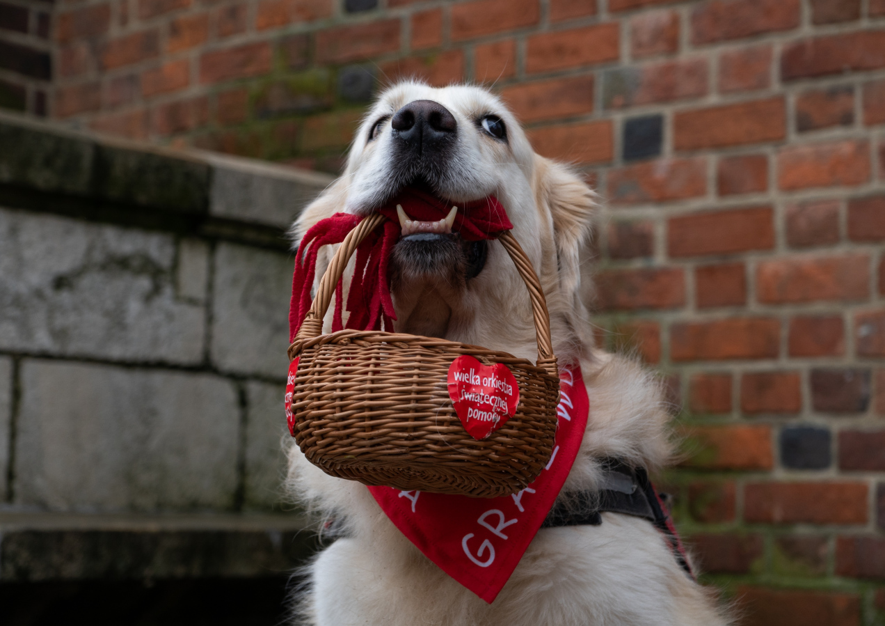 WOŚP z nowym celem – Jerzy Owsiak ogłasza szczegóły 34. finału