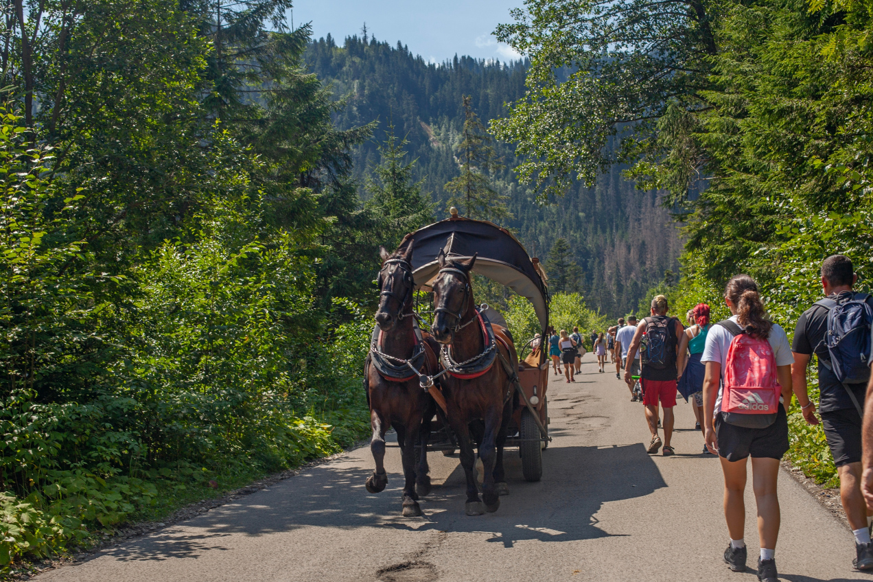Spór o konie nad Morskie Oko trwa. Woźnice zlecili badania, by wykazać, iż zwierzęta nie są przeciążone