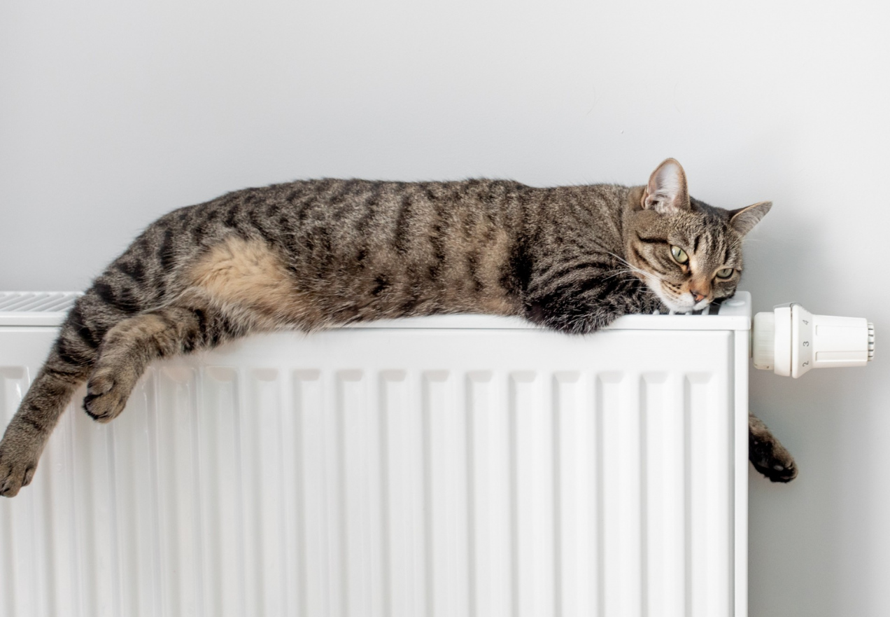 Oto najlepsza temperatura w mieszkaniu według naukowców. Tyle stopni powinno być zimą