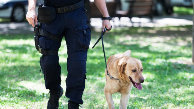 RMF Extra: Policjant niczym Dr Dolittle. Kochają go wszystkie zwierzęta za uratowanie im życia!