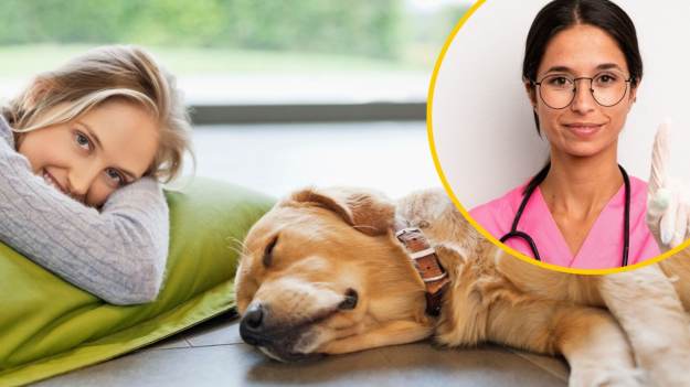 RMF Extra: Dlatego nie wolno budzić śniącego psa. Ekspertka mówi wprost: „kiedy przerwiesz ten sen...”