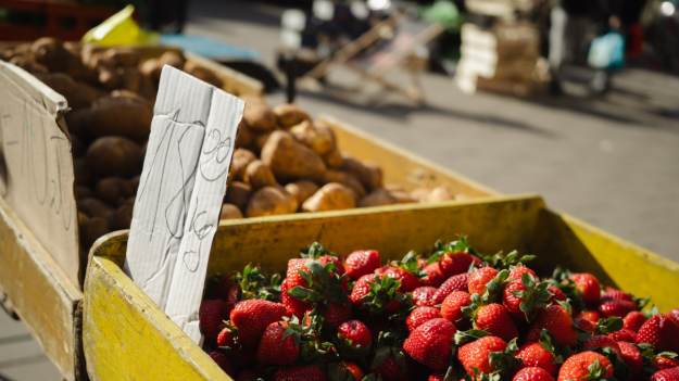 RMF Extra:  Polskie truskawki już są. Cena zwala z nóg  