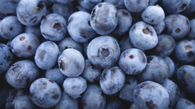 RMF Extra: Rozpoczął się sezon na jagody. Zobacz, co smacznego możemy z nich zrobić!