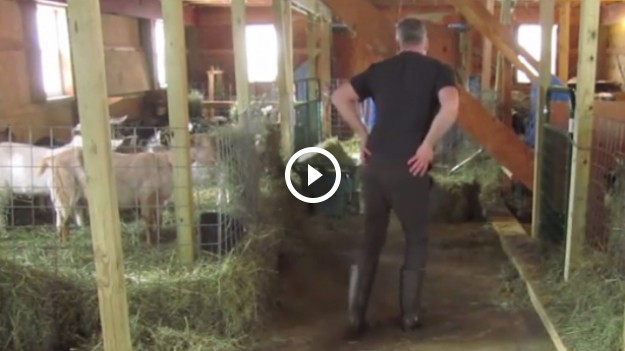 RMF Extra: Farmer zrobił striptiz do hitu Sii, podbijając serca internautów! Ten film jest hitem