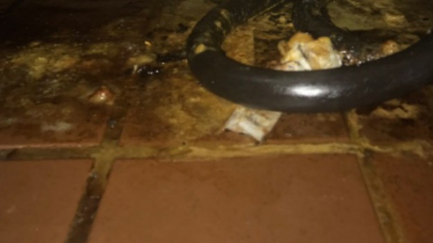 RMF Extra: Szokujące zdjęcia z McDonald's. Po ich zobaczeniu zastanowisz się nad zamówieniem tam czegokolwiek