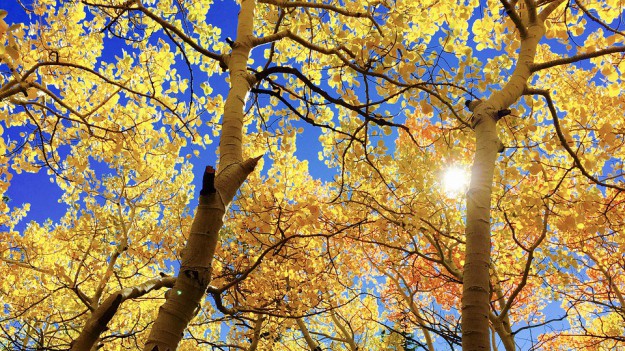 RMF Extra: Lato wraca? W przyszłym tygodniu rekordowe temperatury!