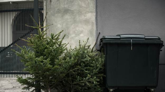 RMF Extra: Co zrobić z choinką po świętach? Tak lepiej jej nie wyrzucać