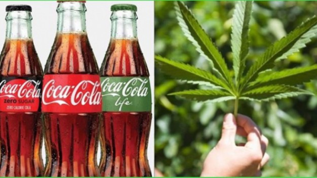 RMF Extra: Coca-Cola wprowadzi napój na bazie konopi? Były pierwsze negocjacje w tej sprawie