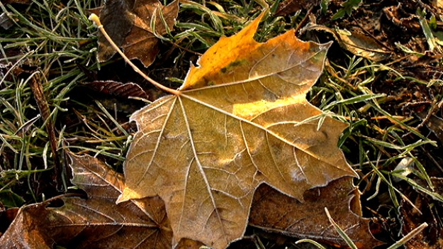 RMF Extra: To już koniec lata! W Tatrach możliwe opady śniegu!