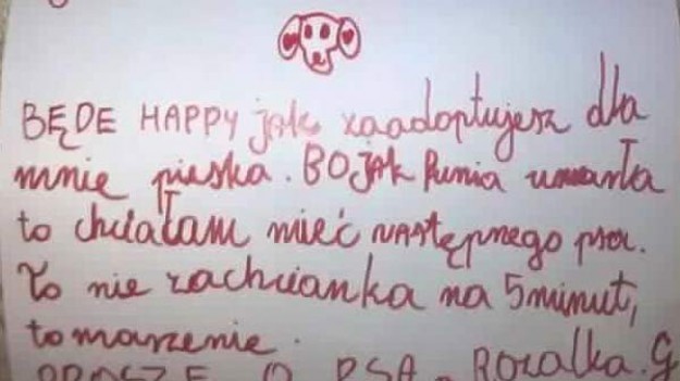 RMF Extra: Szczeniak ze schroniska na Pierwszą Komunię. Wzruszony Marcin Dorociński deklaruje pomoc! 