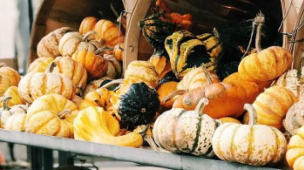 RMF Extra: Co powinniśmy jeść jesienią? Zobacz listę zdrowych produktów