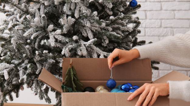 RMF Extra: Kiedy wypada rozebrać choinkę po świętach?  