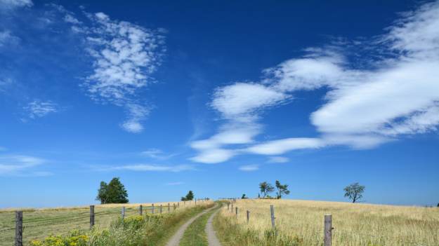 RMF Extra: Bożeny i Bożenny co roku przyjeżdżają na zlot do Bożenkowa