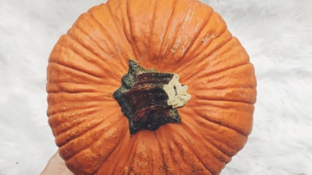 RMF Extra: Dyniowe przekąski? Sprawdź, co można zrobić z dyni