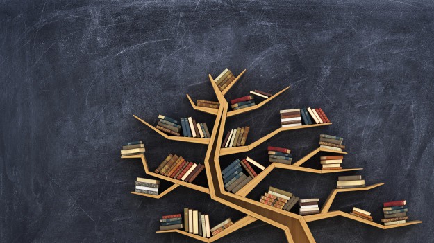 RMF Extra: Regał na książki, który po odpowiednim złożeniu może być trumną! Ekologia w ciekawym wydaniu