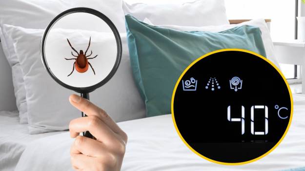 RMF Extra: Nie 60°C ani 90°C. Ekspert radzi, w jakiej temperaturze prać, by skutecznie pozbyć się roztoczy