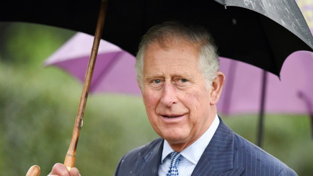 RMF Extra: Książę Karol spotkał księcia George'a. I nie chodzi o jego wnuka! Zdjęcia z nowym przyjacielem obiegły sieć [ZDJĘCIA]