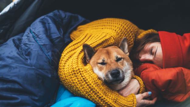 RMF Extra: Budzisz psa, gdy ma koszmary? To błąd. Ekspertka wyjaśnia: „kiedy przerwiesz ten sen...”