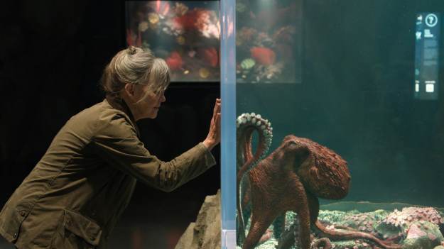 Zacznij czytać już teraz! Ta książka to fenomen,..