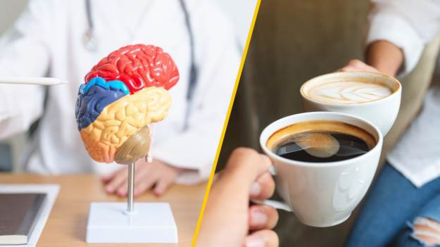 RMF Extra: Taki jest wpływ picia kawy na mózg. Zaskakujące wyniki badań! Mało kto o tym wie
