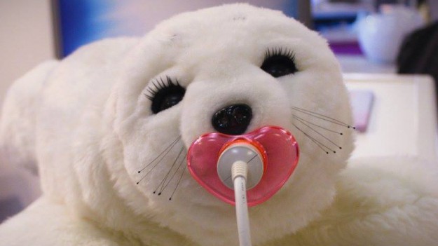 RMF Extra: Foczka - terapeuta. Robot ze sztuczną inteligencją pomaga w terapii