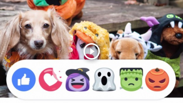 RMF Extra: Halloween: Nowe reakcje na Facebooku!