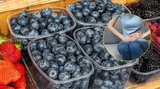 RMF Extra: Kto powinien unikać borówek? Dla tych osób są szczególnie niebezpieczne