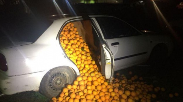 RMF Extra: Ukradli 4 tony pomarańczy i zmieścili je w 3 samochodach. Ich wytłumaczenie jest rozbrajające!