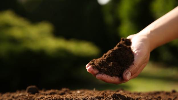 RMF Extra: Naukowcy odkryli naturalny antybiotyk. Jego źródłem jest gleba  