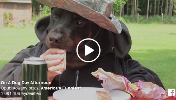 RMF Extra: Piątkowy hit internetu 