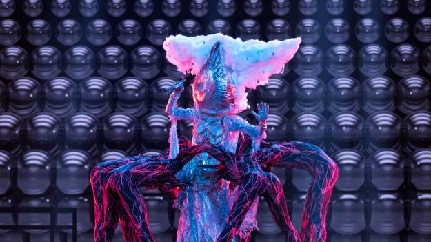 RMF Extra: "Mask Singer". Deszcz zdemaskowany? Widzowie już wiedzą, kto ukrywa się pod maską