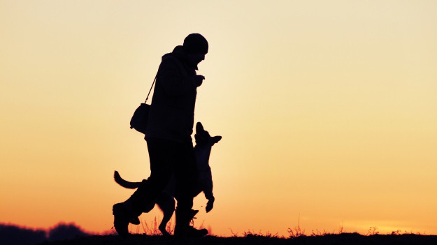 RMF Extra: Pies uratował noworodka zakopanego żywcem przez nastoletnią matkę